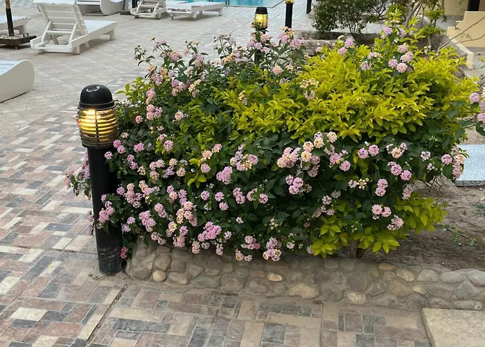 Cozy Poolside At Florenza Khamsin In شقة